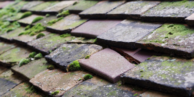 Cattawade roof repair costs